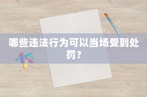 哪些違法行為可以當場受到處罰？