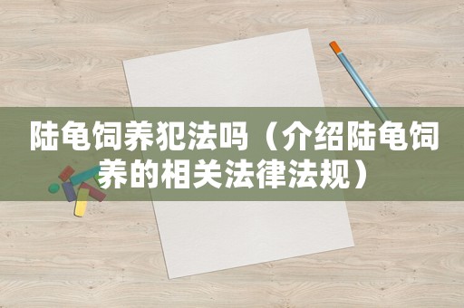陸龜飼養(yǎng)犯法嗎（介紹陸龜飼養(yǎng)的相關(guān)法律法規(guī)）