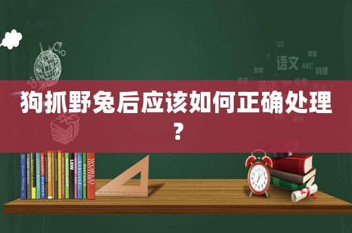 狗抓野兔后應(yīng)該如何正確處理？