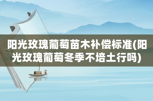 陽(yáng)光玫瑰葡萄苗木補(bǔ)償標(biāo)準(zhǔn)(陽(yáng)光玫瑰葡萄冬季不培土行嗎)