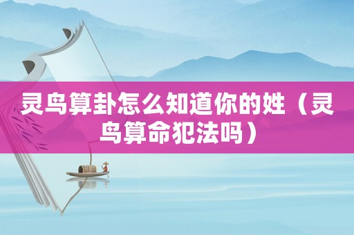 靈鳥(niǎo)算卦怎么知道你的姓（靈鳥(niǎo)算命犯法嗎）