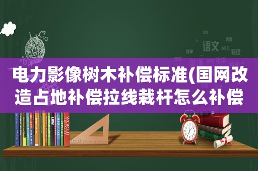 電力影像樹木補(bǔ)償標(biāo)準(zhǔn)(國網(wǎng)改造占地補(bǔ)償拉線栽桿怎么補(bǔ)償？)