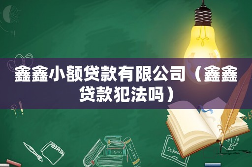 鑫鑫小額貸款有限公司（鑫鑫貸款犯法嗎）