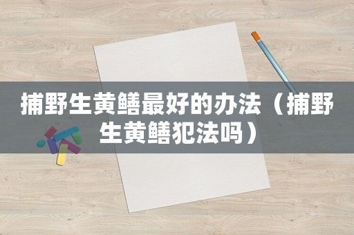 捕野生黃鱔最好的辦法（捕野生黃鱔犯法嗎）