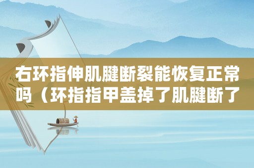 右環(huán)指伸肌腱斷裂能恢復(fù)正常嗎（環(huán)指指甲蓋掉了肌腱斷了算幾級工傷）