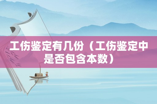 工傷鑒定有幾份（工傷鑒定中是否包含本數(shù)）