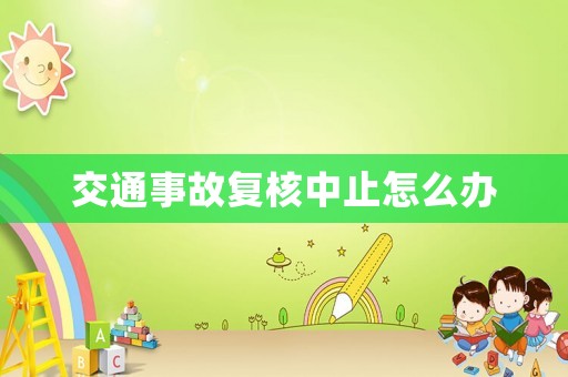 交通事故復(fù)核中止怎么辦