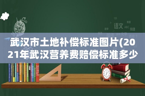 武漢市土地補償標準圖片(2021年武漢營養(yǎng)費賠償標準多少？)