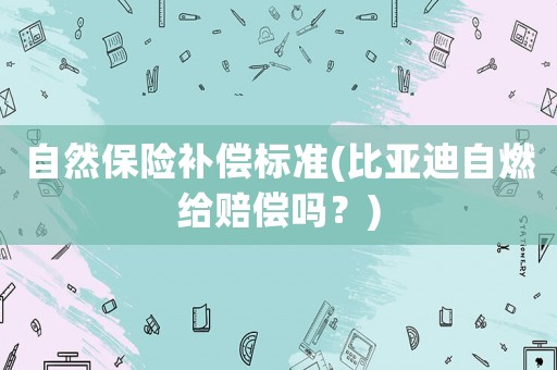自然保險補償標準(比亞迪自燃給賠償嗎？)
