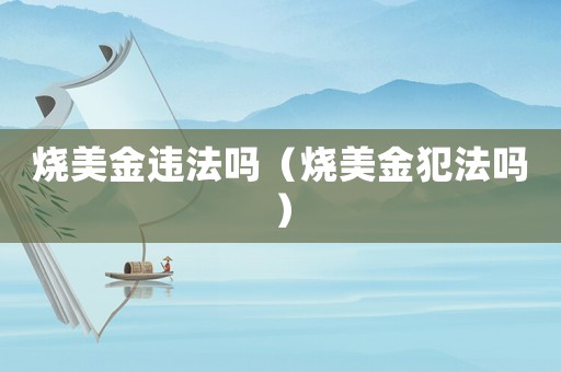 燒美金違法嗎（燒美金犯法嗎）