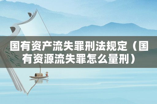 國(guó)有資產(chǎn)流失罪刑法規(guī)定（國(guó)有資源流失罪怎么量刑）