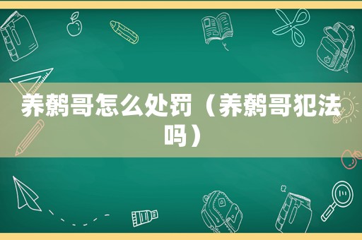 養(yǎng)鷯哥怎么處罰（養(yǎng)鷯哥犯法嗎）