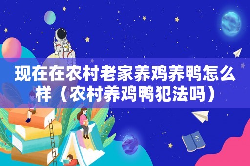 現(xiàn)在在農(nóng)村老家養(yǎng)雞養(yǎng)鴨怎么樣（農(nóng)村養(yǎng)雞鴨犯法嗎）