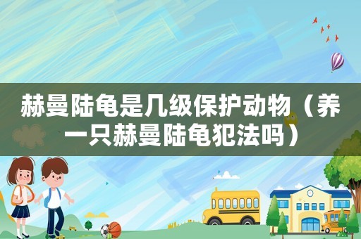 赫曼陸龜是幾級保護動物（養(yǎng)一只赫曼陸龜犯法嗎）