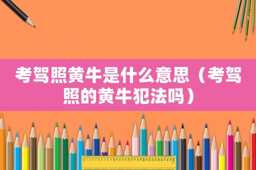 考駕照黃牛是什么意思（考駕照的黃牛犯法嗎）