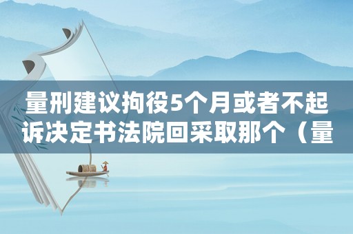 量刑建議拘役5個(gè)月或者不起訴決定書法院回采取那個(gè)（量刑建議拘役）