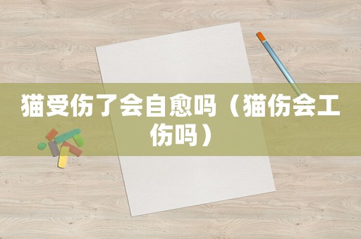 貓受傷了會自愈嗎（貓傷會工傷嗎）