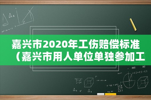 嘉興市2020年工傷賠償標(biāo)準(zhǔn)（嘉興市用人單位單獨(dú)參加工傷保險(xiǎn)人員增/減少明細(xì)表）