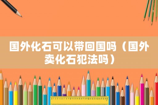 國外化石可以帶回國嗎（國外賣化石犯法嗎）