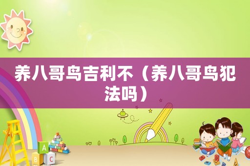 養(yǎng)八哥鳥吉利不（養(yǎng)八哥鳥犯法嗎）