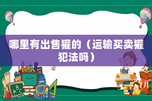 哪里有出售獾的（運(yùn)輸買(mǎi)賣(mài)獾犯法嗎）