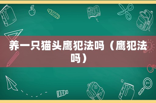養(yǎng)一只貓頭鷹犯法嗎（鷹犯法嗎）