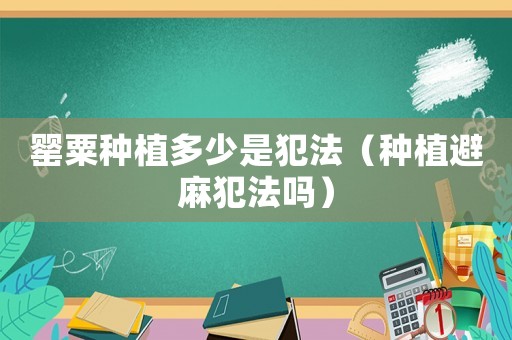 罌粟種植多少是犯法（種植避麻犯法嗎）