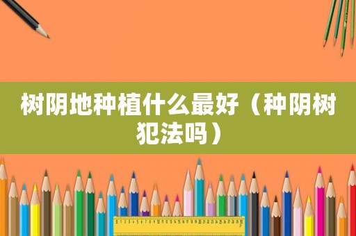 樹(shù)陰地種植什么最好（種陰樹(shù)犯法嗎）