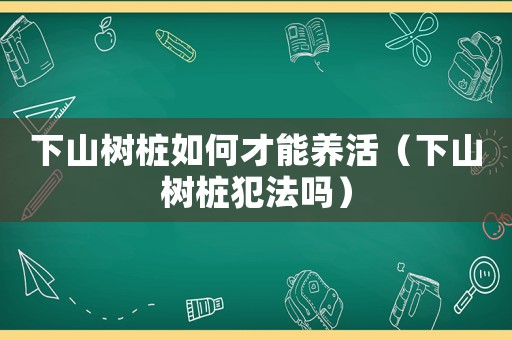 下山樹樁如何才能養(yǎng)活（下山樹樁犯法嗎）