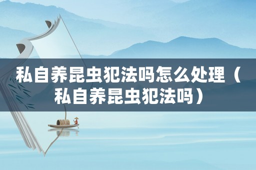 私自養(yǎng)昆蟲(chóng)犯法嗎怎么處理（私自養(yǎng)昆蟲(chóng)犯法嗎）