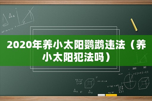 2020年養(yǎng)小太陽鸚鵡違法（養(yǎng)小太陽犯法嗎）