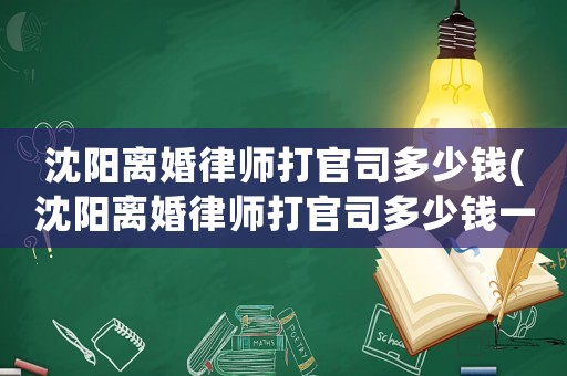 沈陽離婚律師打官司多少錢(沈陽離婚律師打官司多少錢一個月)