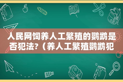 人民網(wǎng)飼養(yǎng)人工繁殖的鸚鵡是否犯法?（養(yǎng)人工繁殖鸚鵡犯法嗎）