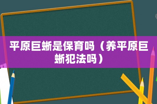平原巨蜥是保育嗎（養(yǎng)平原巨蜥犯法嗎）