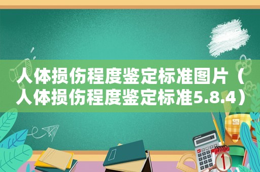 人體損傷程度鑒定標(biāo)準(zhǔn)圖片（人體損傷程度鑒定標(biāo)準(zhǔn)5.8.4）