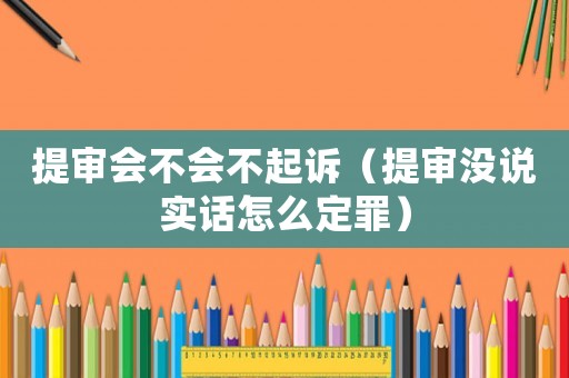 提審會(huì)不會(huì)不起訴（提審沒說實(shí)話怎么定罪）