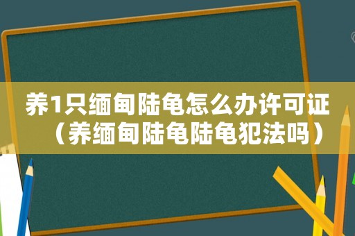 養(yǎng)1只緬甸陸龜怎么辦許可證（養(yǎng)緬甸陸龜陸龜犯法嗎）