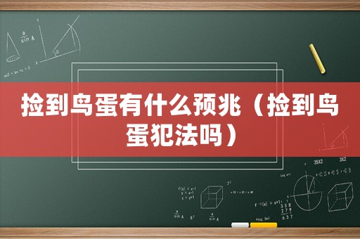 撿到鳥蛋有什么預兆（撿到鳥蛋犯法嗎）