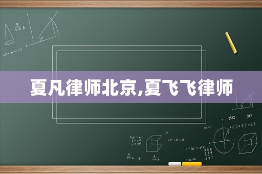 夏凡律師北京,夏飛飛律師
