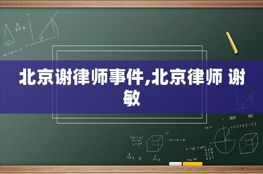 北京謝律師事件,北京律師 謝敏