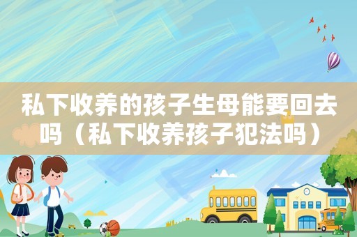 私下收養(yǎng)的孩子生母能要回去嗎（私下收養(yǎng)孩子犯法嗎）