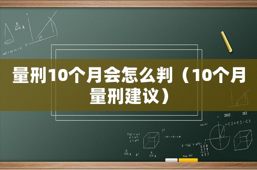 量刑10個月會怎么判（10個月量刑建議）