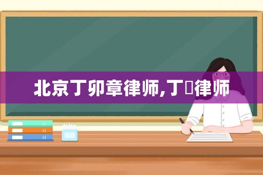 北京丁卯章律師,丁垚律師