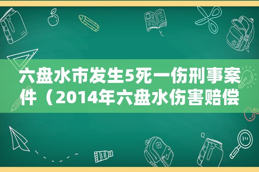 六盤水市發(fā)生5死一傷刑事案件（2014年六盤水傷害賠償標準）