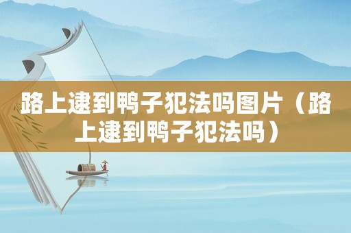 路上逮到鴨子犯法嗎圖片（路上逮到鴨子犯法嗎）