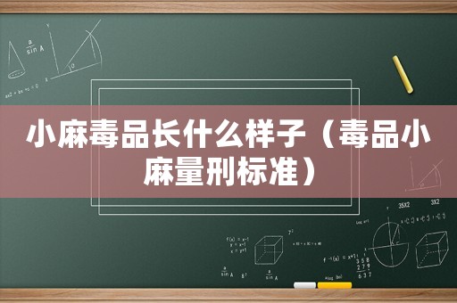 小麻毒品長(zhǎng)什么樣子（毒品小麻量刑標(biāo)準(zhǔn)）