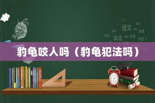 豹龜咬人嗎（豹龜犯法嗎）