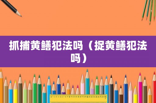 抓捕黃鱔犯法嗎（捉黃鱔犯法嗎）