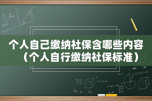 個人自己繳納社保含哪些內(nèi)容（個人自行繳納社保標準）