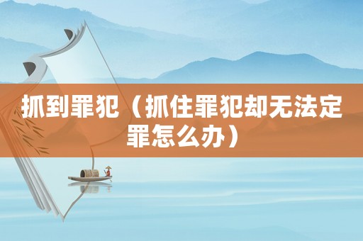 抓到罪犯（抓住罪犯卻無法定罪怎么辦）